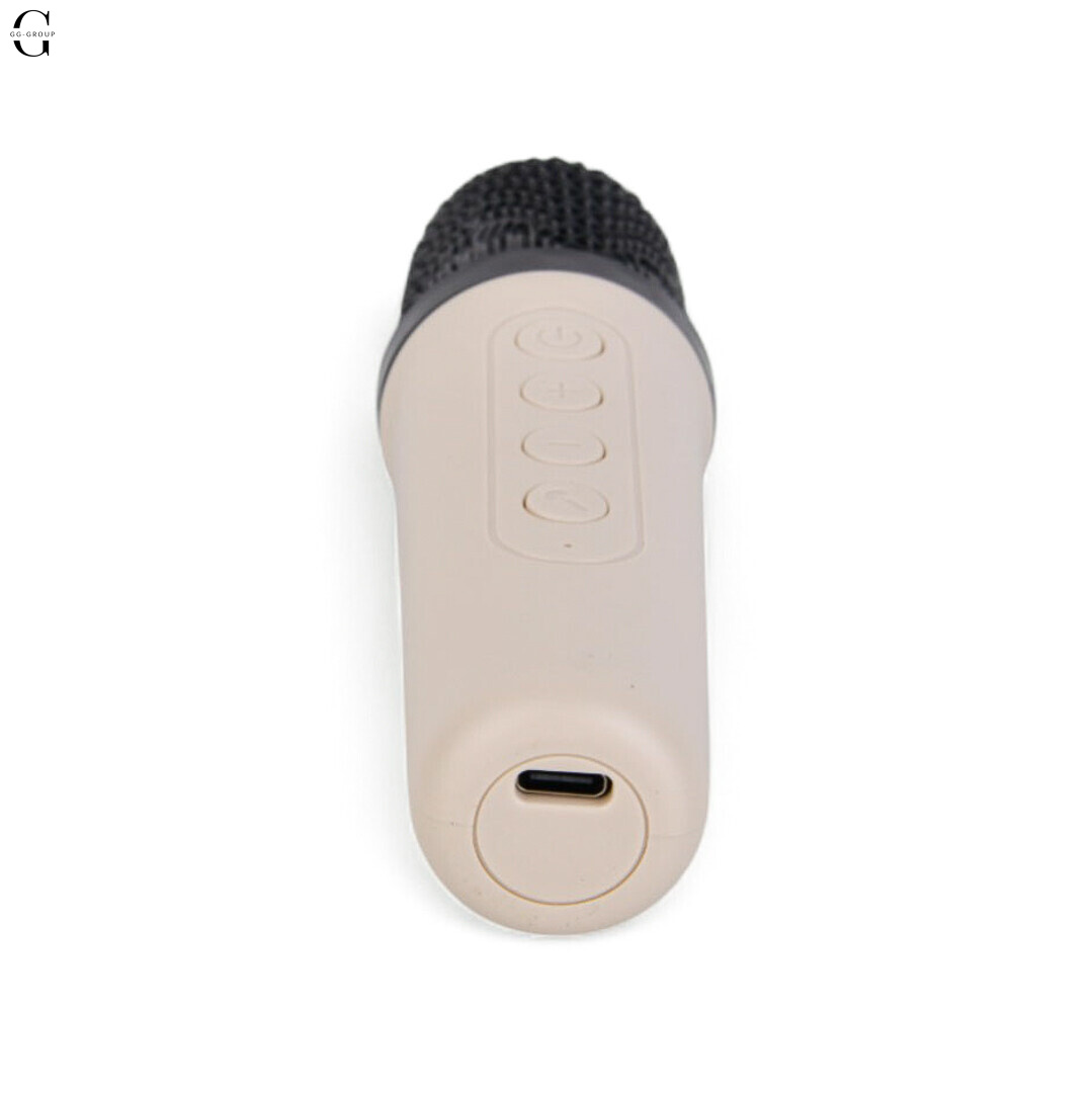 Караоке-система K19 Smart Portable Speaker с 2 беспроводными микрофонами и LED-подсветкой